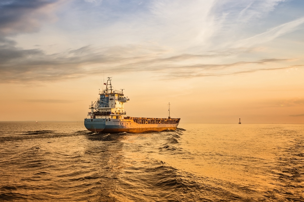 Vetting / Safety and Quality Management